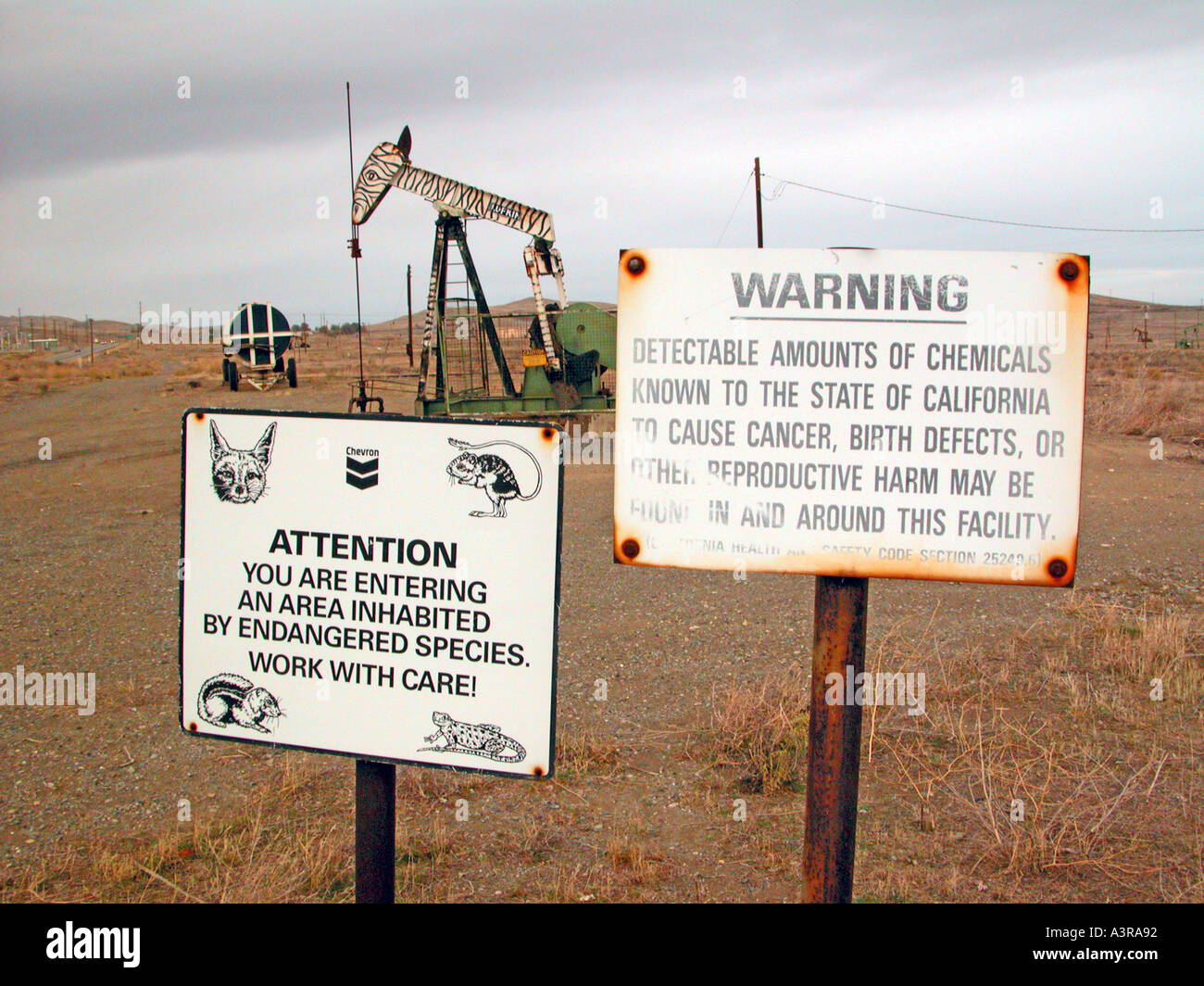 Elk Hills oil field near Coalinga California where the pumpers are