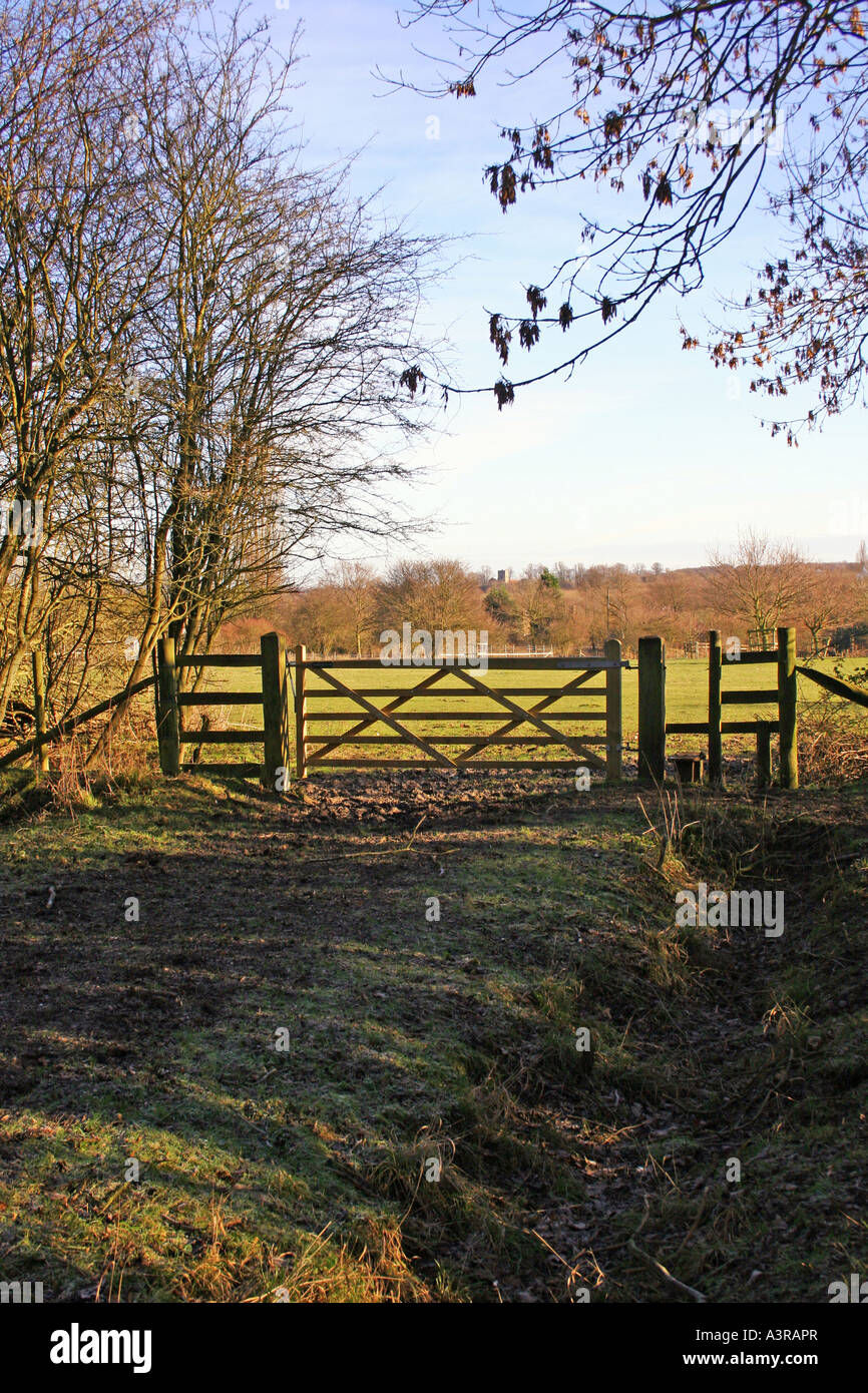 A GATE AND STILE IN WINTER IN THE ANCIENT WOODLAND THAT IS HATFIELD FOREST IN THE COUNTY OF ESSEX UK. Stock Photo