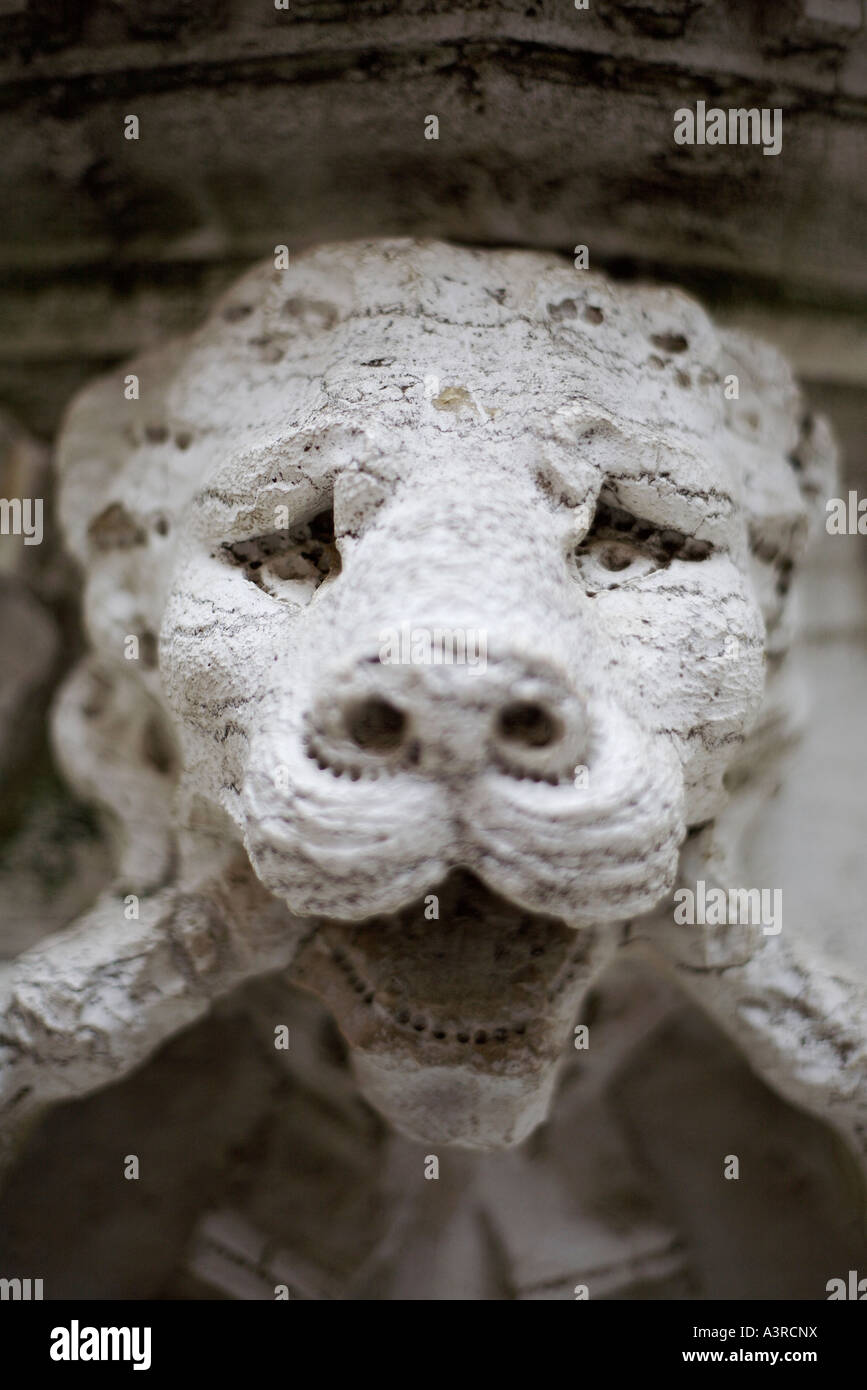 Close up of lion head carving. San Marco, Venice, Italy Stock Photo