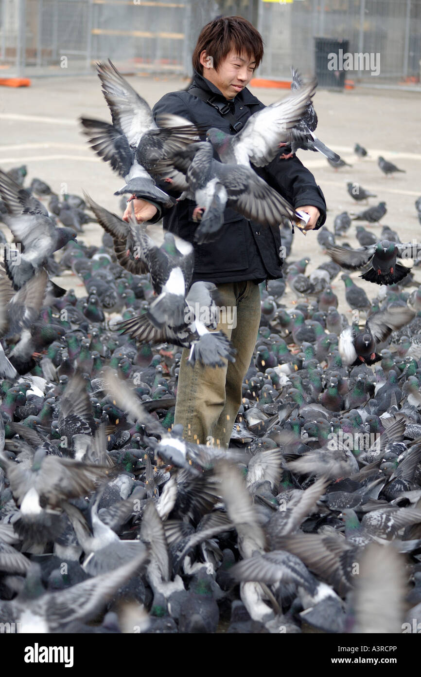 Tourist feeding pigeons in St Mark's Square. San Marco, Venice, Italy Stock Photo Alamy