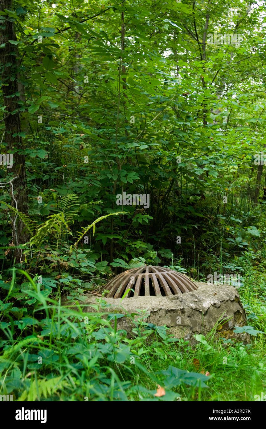 A storm sewer drain in the middle of a forest Stock Photo