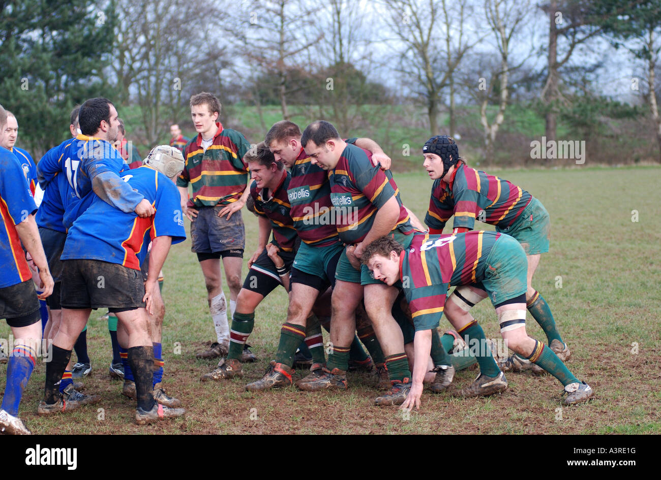 Rugby Union at club level, Leamington Spa, Warwickshire, England, UK Stock Photo