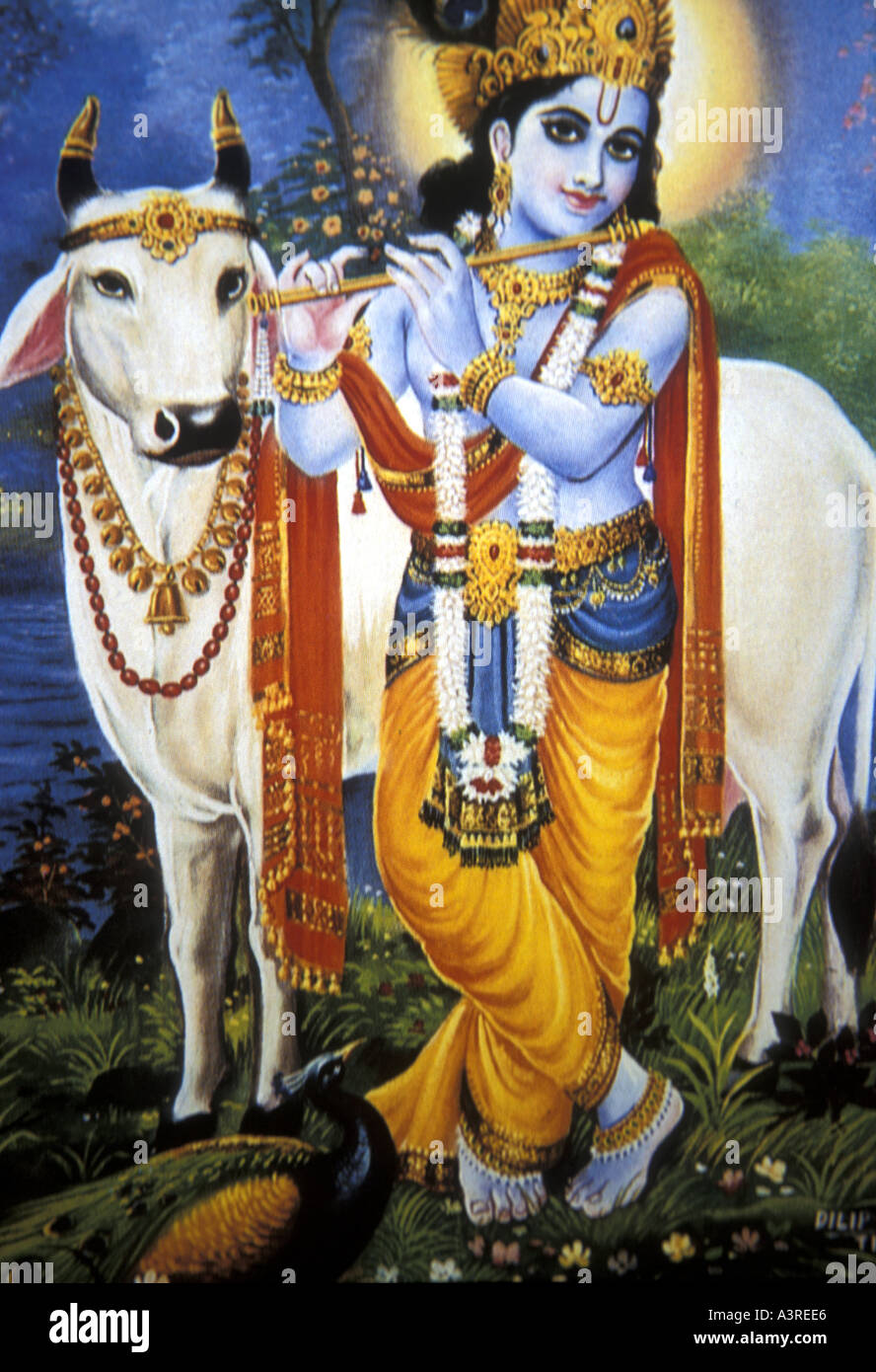 Lord Krishna, popular Hindu deity cavorting in the meadow with a sacred cow Stock Photo