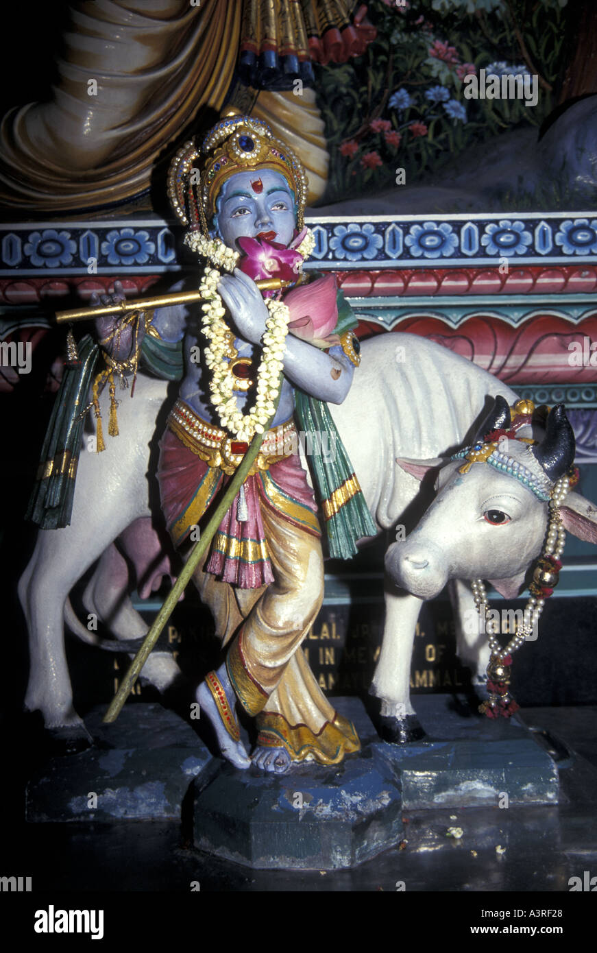 Lord Krishna playing a flute with a sacred cow beside him. A major deity in Hinduism. He is worshipped as the eighth avatar of Vishnu. Stock Photo