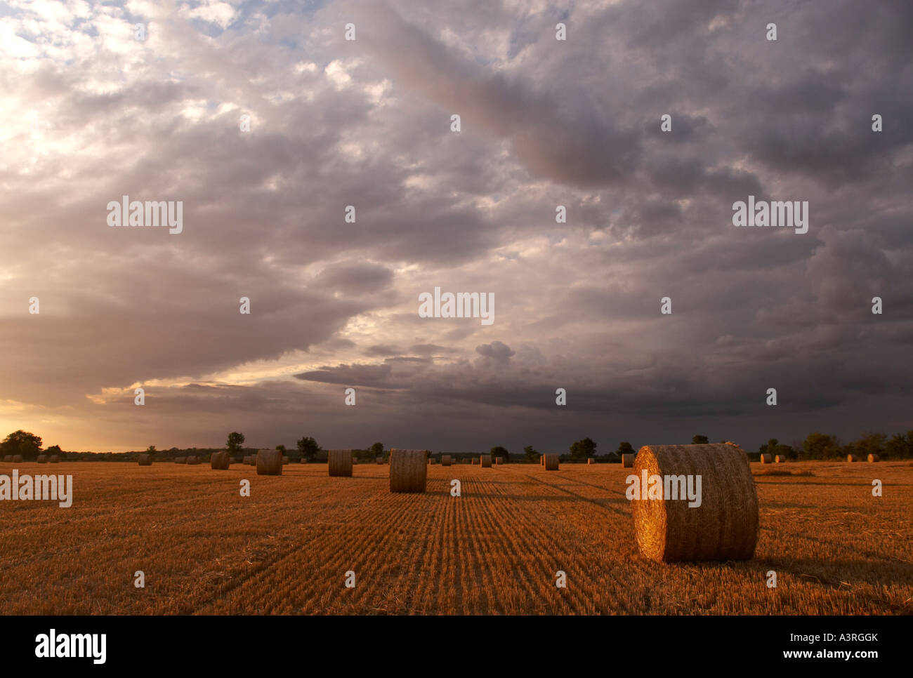Straw Bales under a stormy sky Stock Photo - Alamy