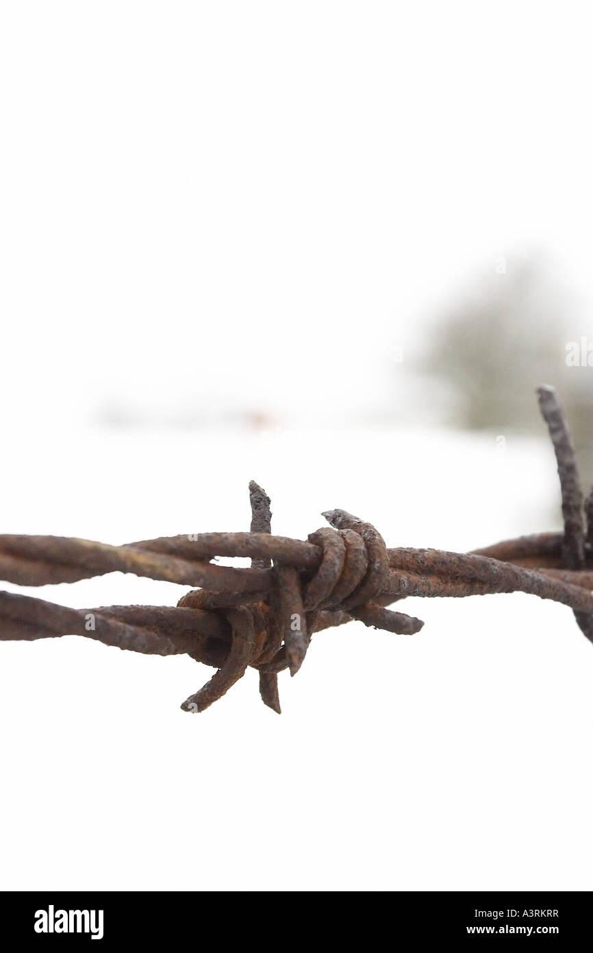 rusty barbed wire Stock Photo Alamy