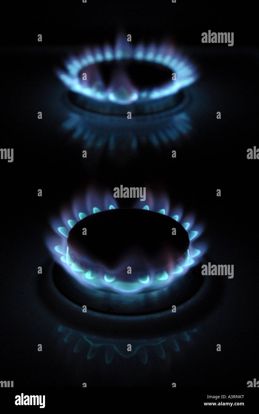 BURNING DOMESTIC GAS COOKER RINGS WITH BLUE FLAMES RE RISING FUEL GAS