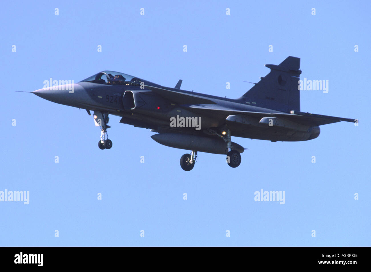 SAAB JAS-39 Gripen operated by F7 Wing of the Swedish Air Force Stock Photo