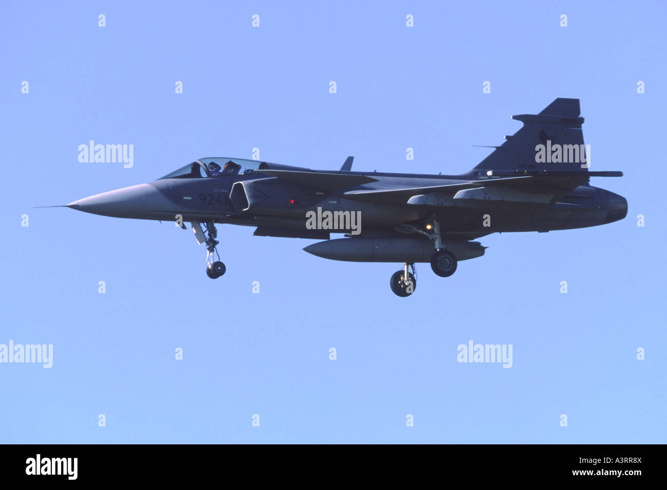 SAAB JAS-39 Gripen operated by F7 Wing of the Swedish Air Force Stock Photo