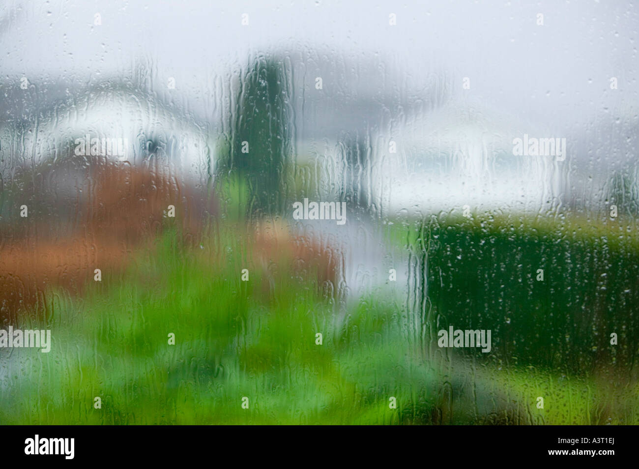 Rain garden hi-res stock photography and images - Alamy