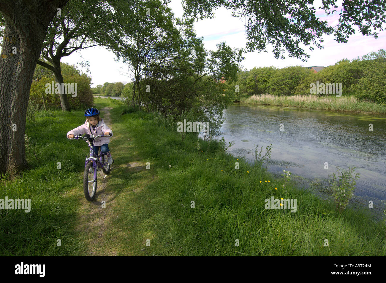 spring cycle small