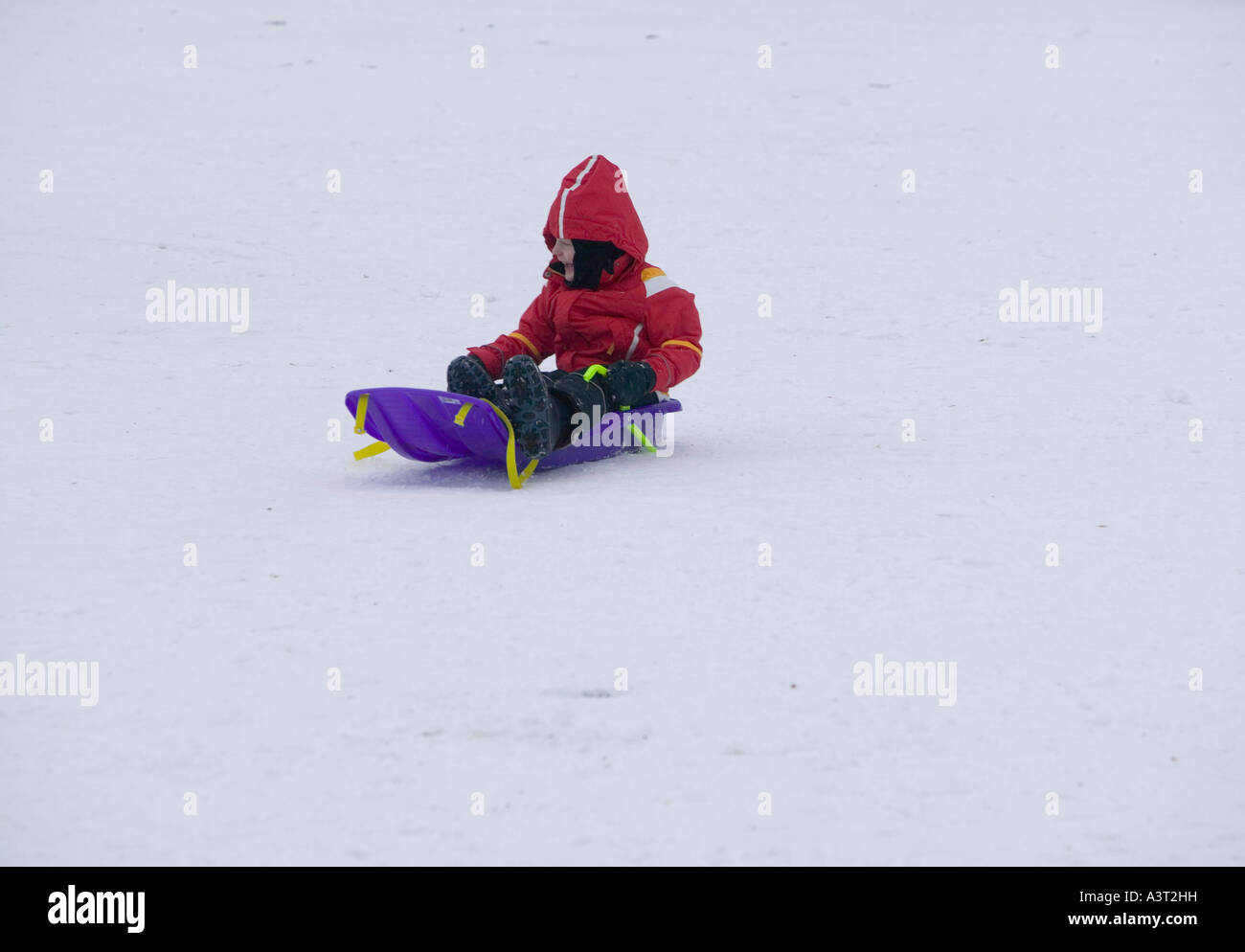 child sledging in Aviemore, Scotland, UK Stock Photo