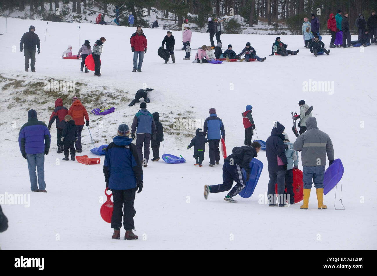 crowds sledging in Aviemore, Scotland, UK Stock Photo