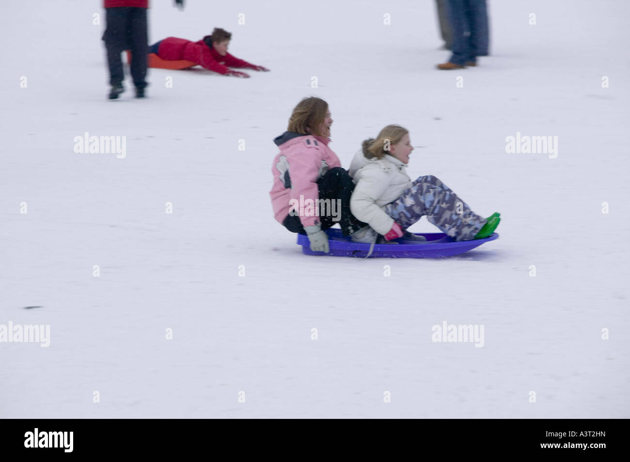 children sledging in Aviemore, Scotland, UK Stock Photo