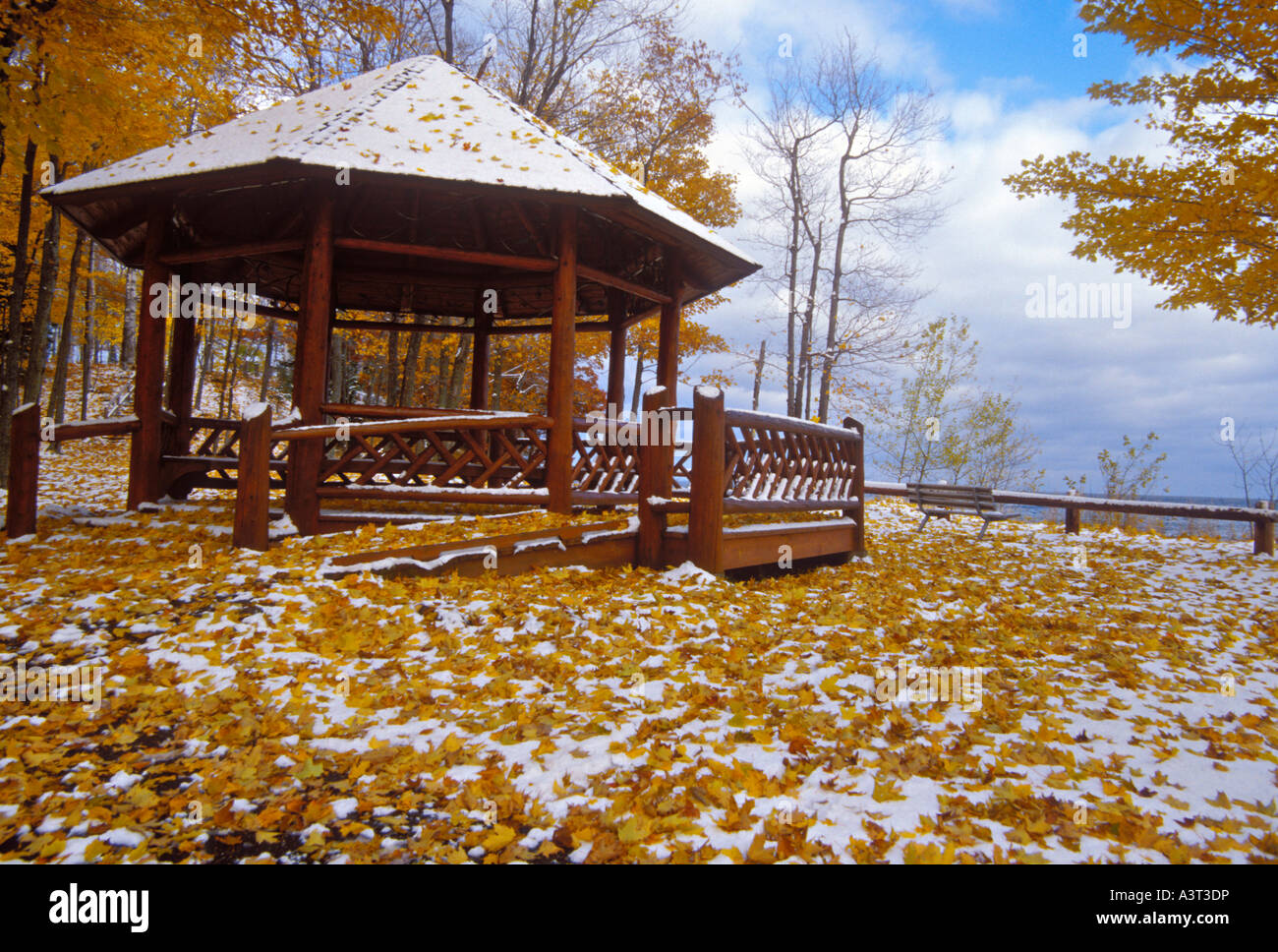 Maple leaves yellow with fall color surround the gazebo at Presque Isle ...