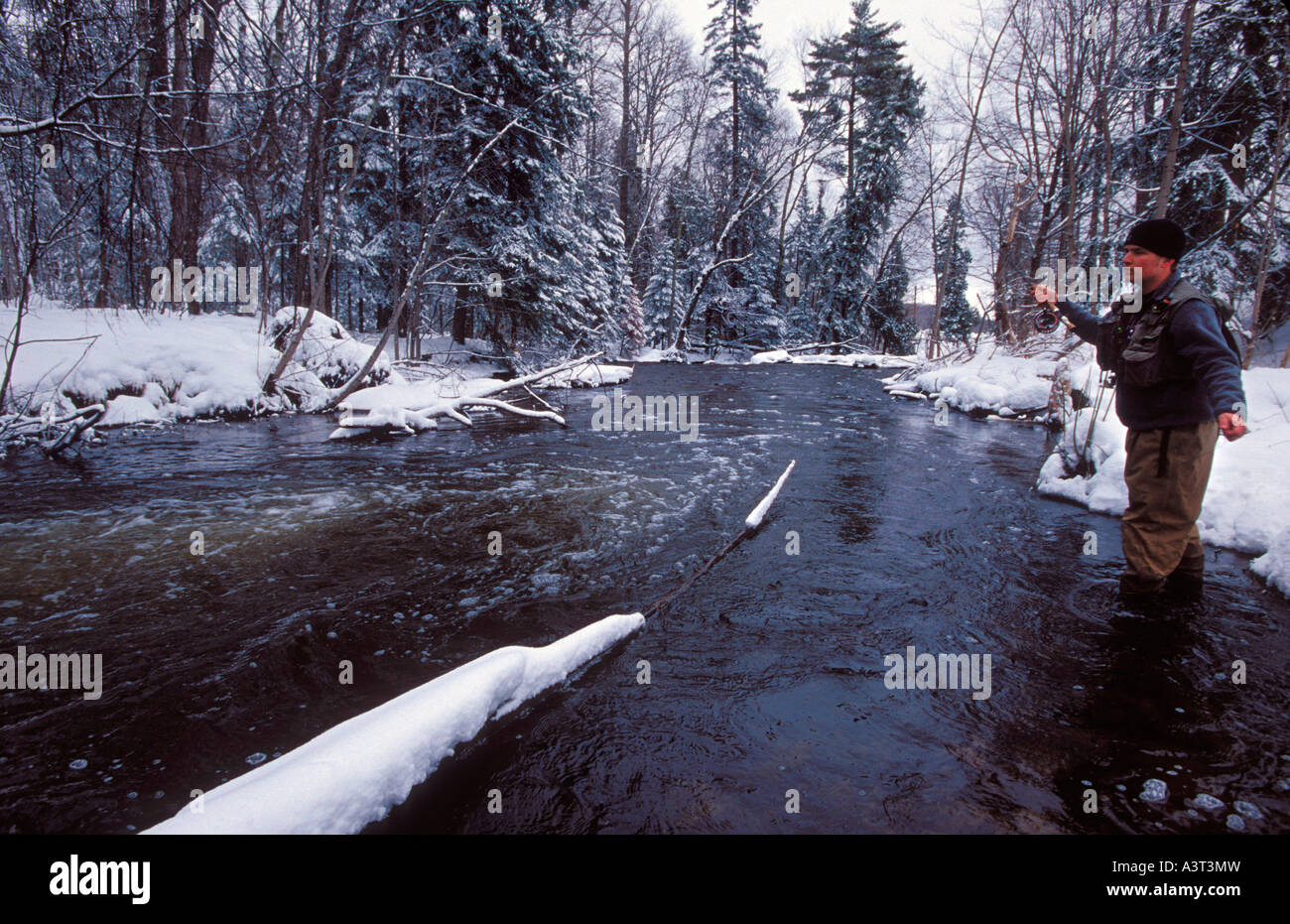 A MAN FLY FISHES FOR STEELHEAD ON THE CARP RIVER NEAR MARQUETTE
