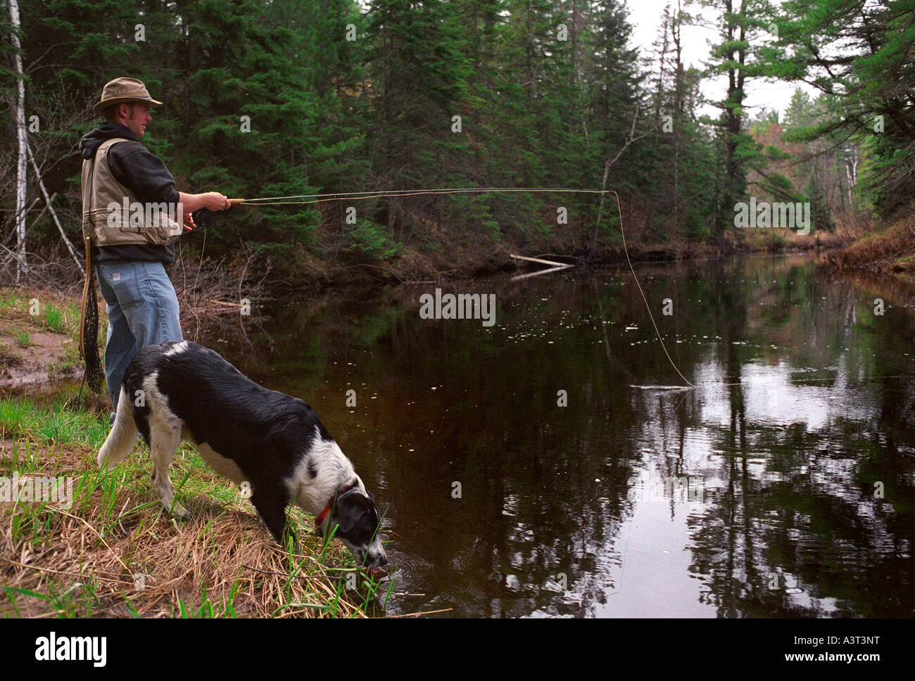 A MAN FLY FISHES WITH HIS DOG ON THE EAST BRANCH OF THE ESCANABA RIVER NEAR GWINN MICHIGAN Stock Photo