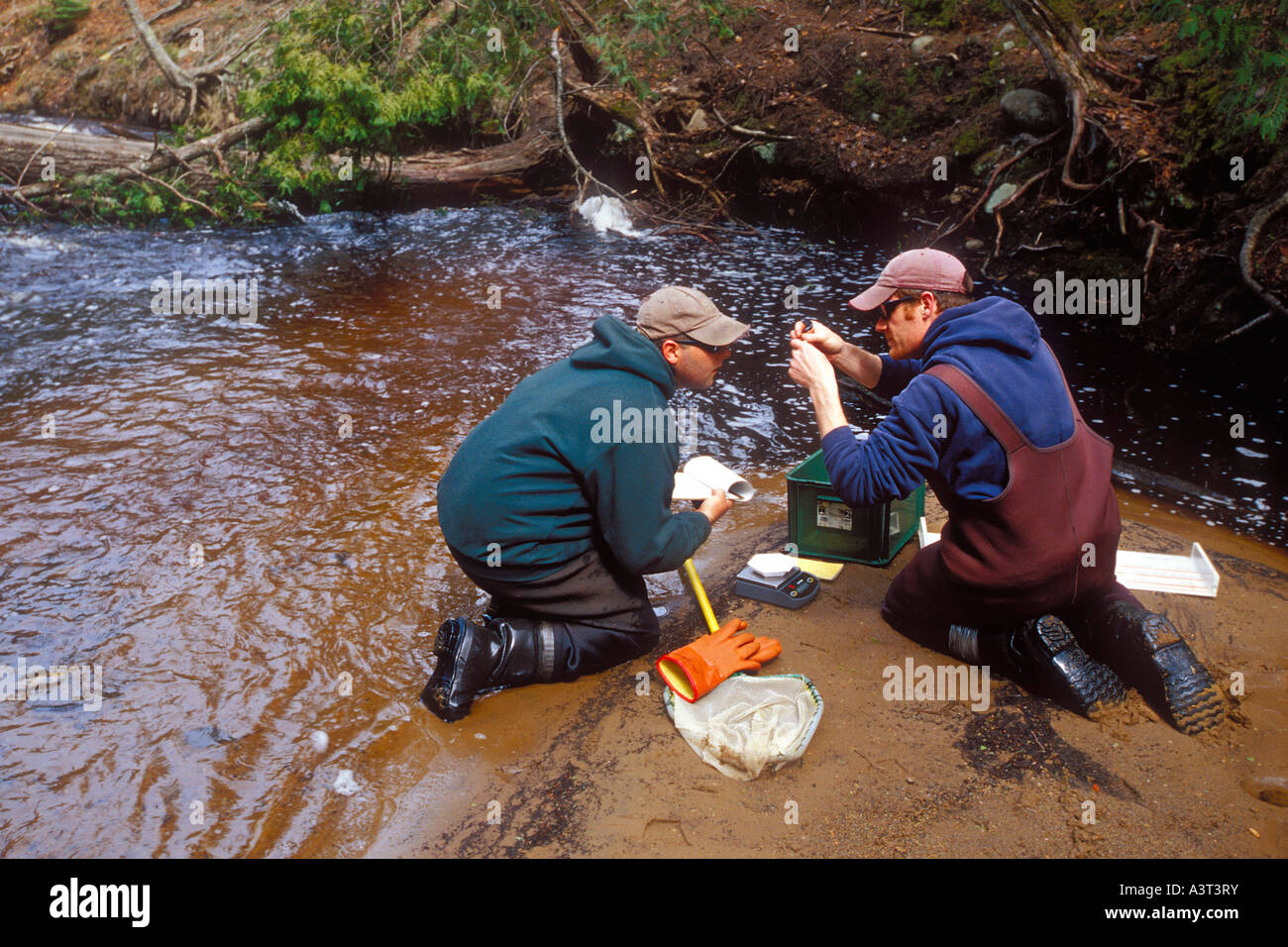 Brook trout research on the Hurricane River near Grand Marais Michigan