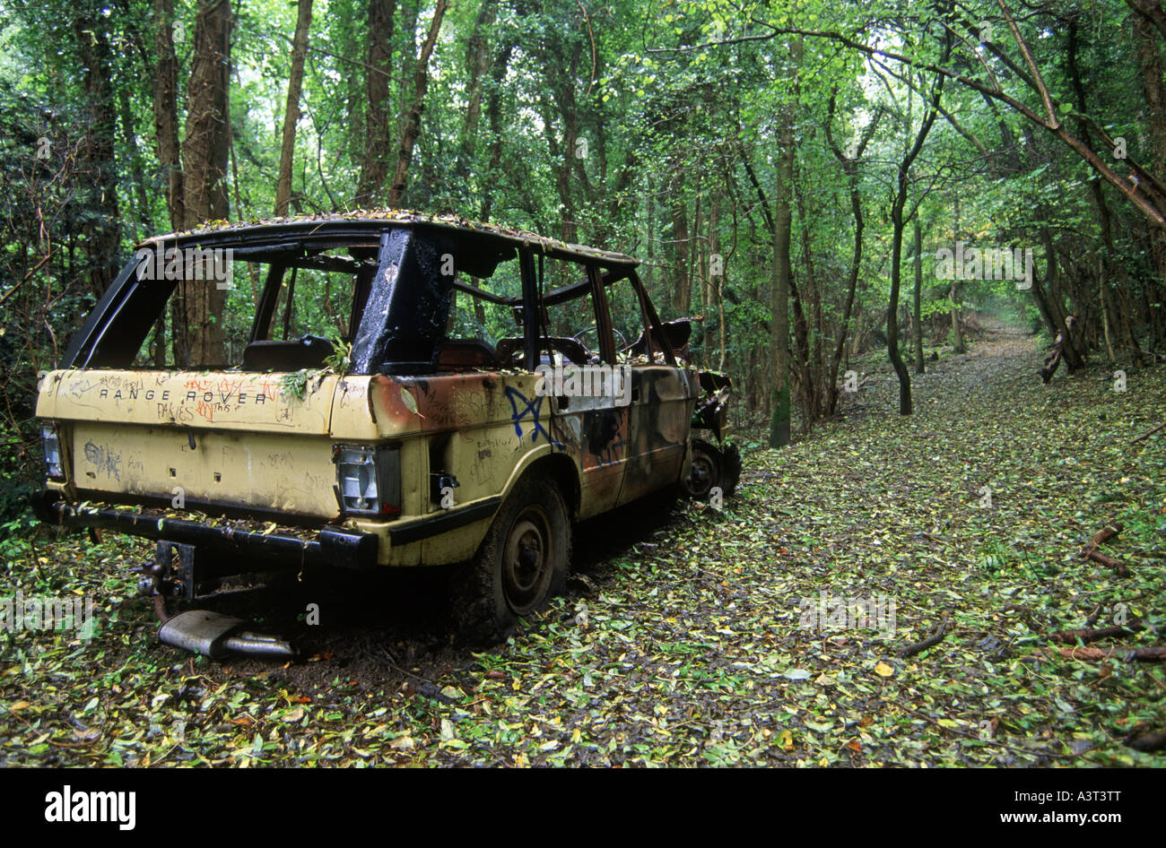 Range Rover dumped and left to decay in woodland, UK Stock Photo