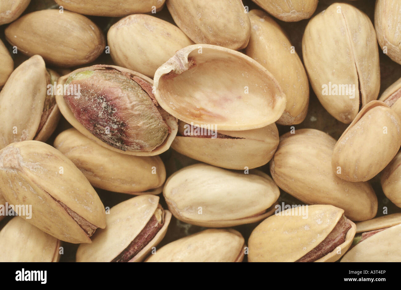 pistachio nut (Pistacia vera), fruits with seeds, pistachios Stock