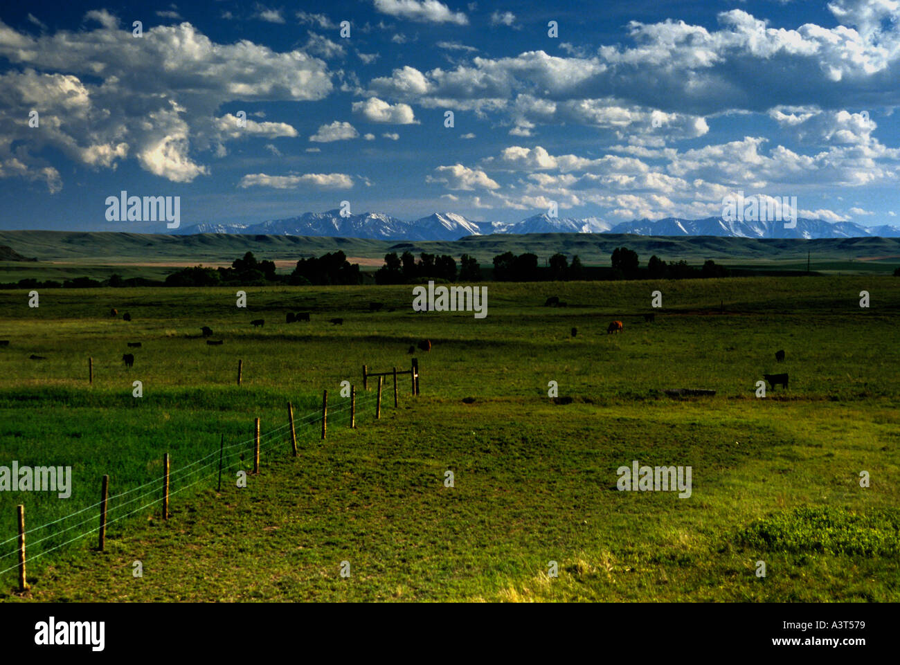 Little Belt Mountains Stock Photo Alamy
