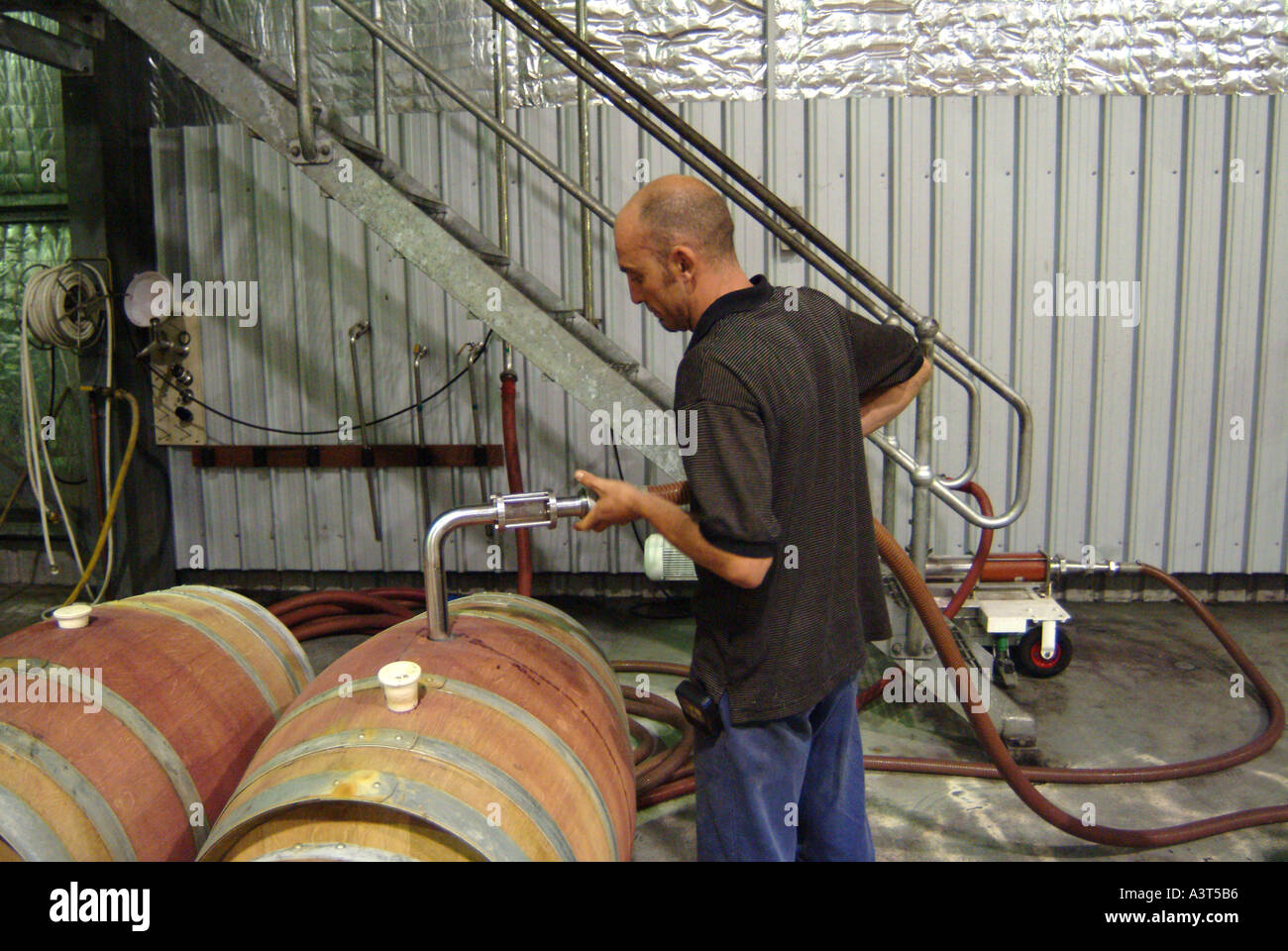 Australia Margaret River Vasse Felix barrel hall Stock Photo Alamy