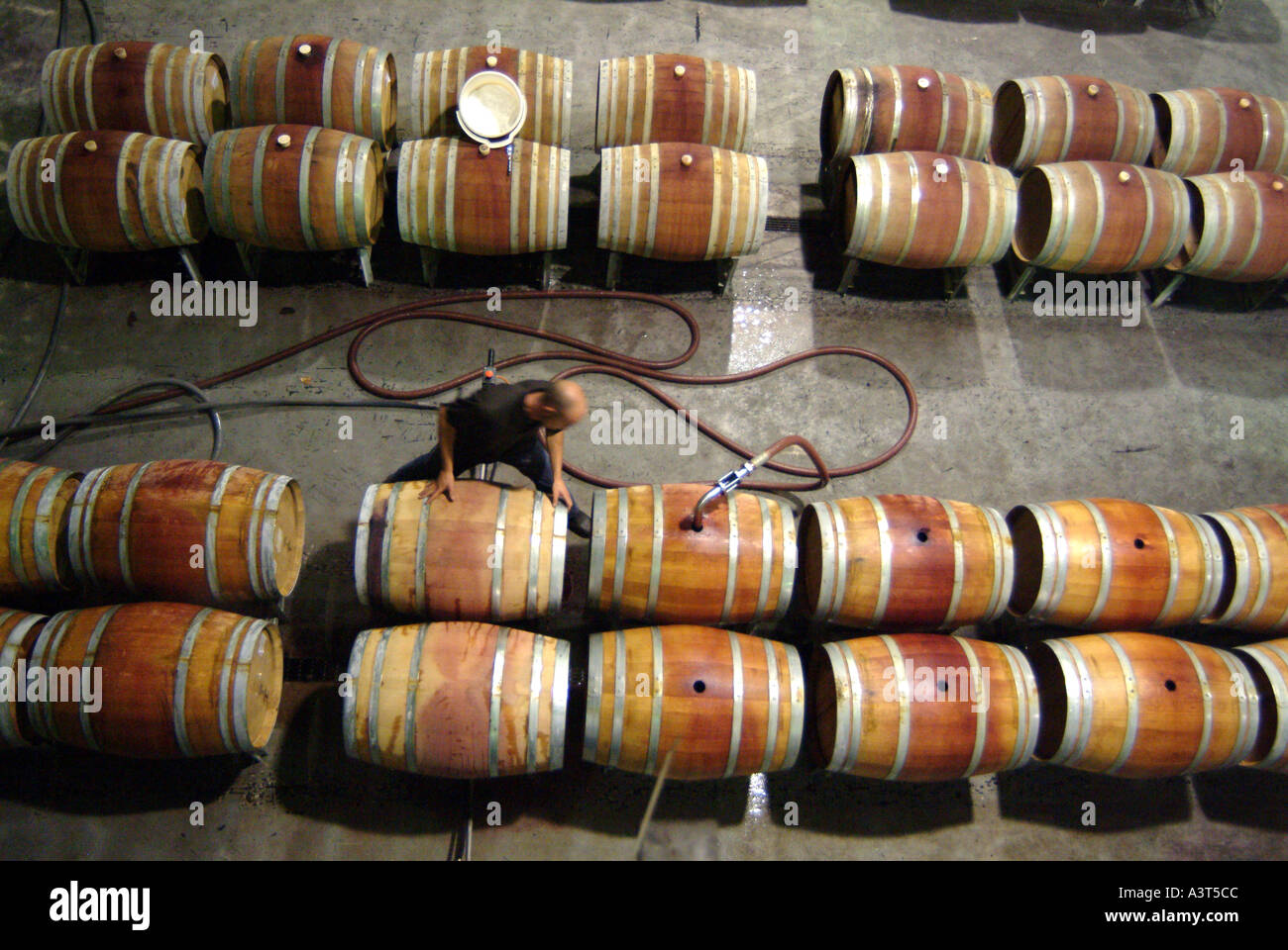 Australia Margaret River Vasse Felix barrel hall Stock Photo Alamy