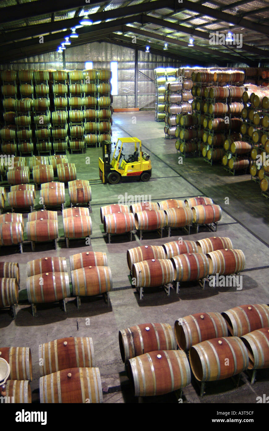 Australia Margaret River Vasse Felix barrel hall Stock Photo Alamy