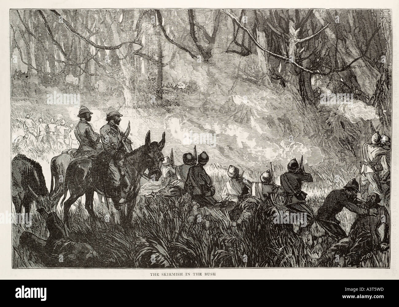 skirmish bush horse cavalry war soldier conflict Africa jungle history military rifle sword fight kill conflict danger Stock Photo