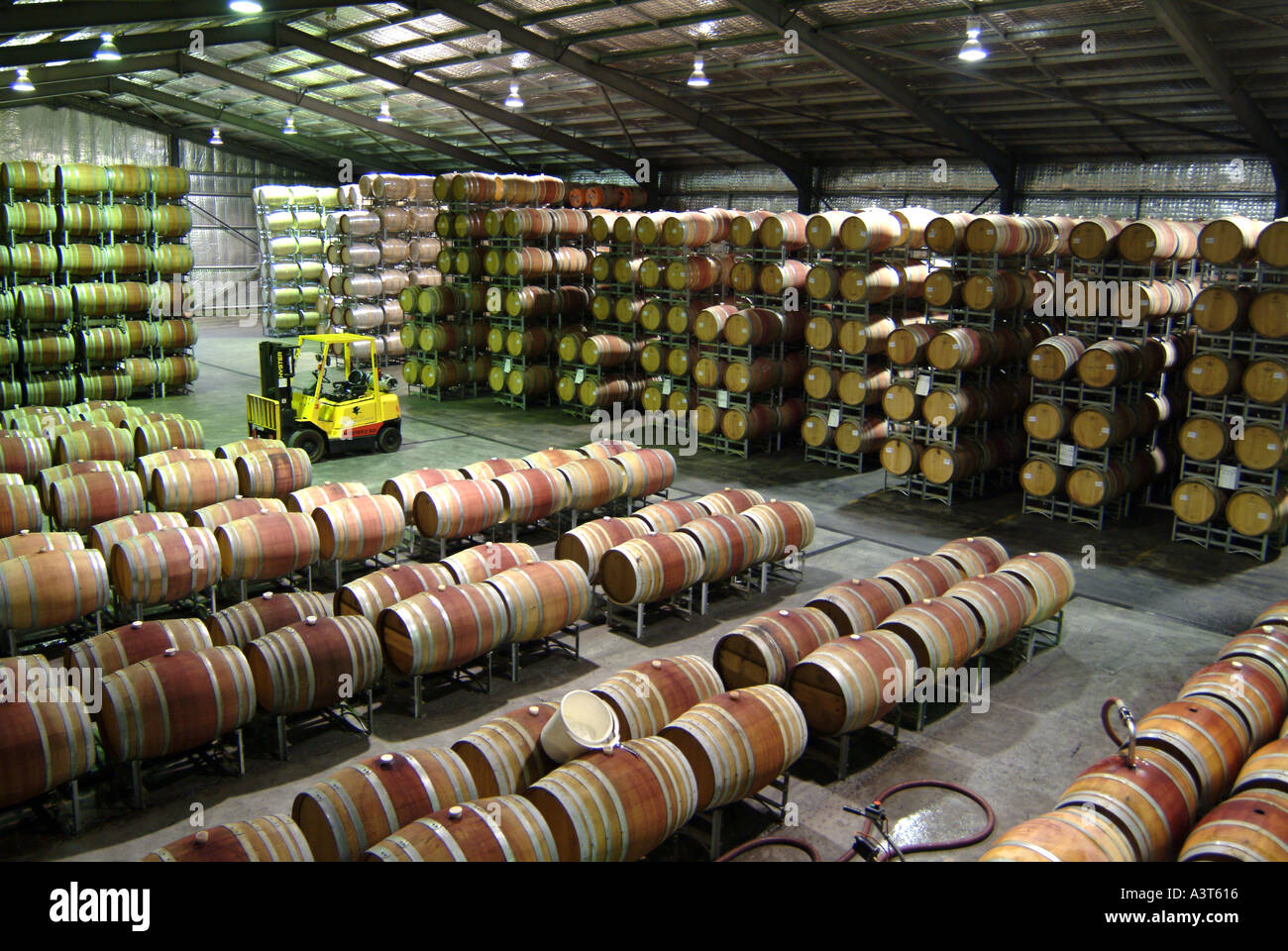 Australia Margaret River Vasse Felix barrel hall Stock Photo Alamy