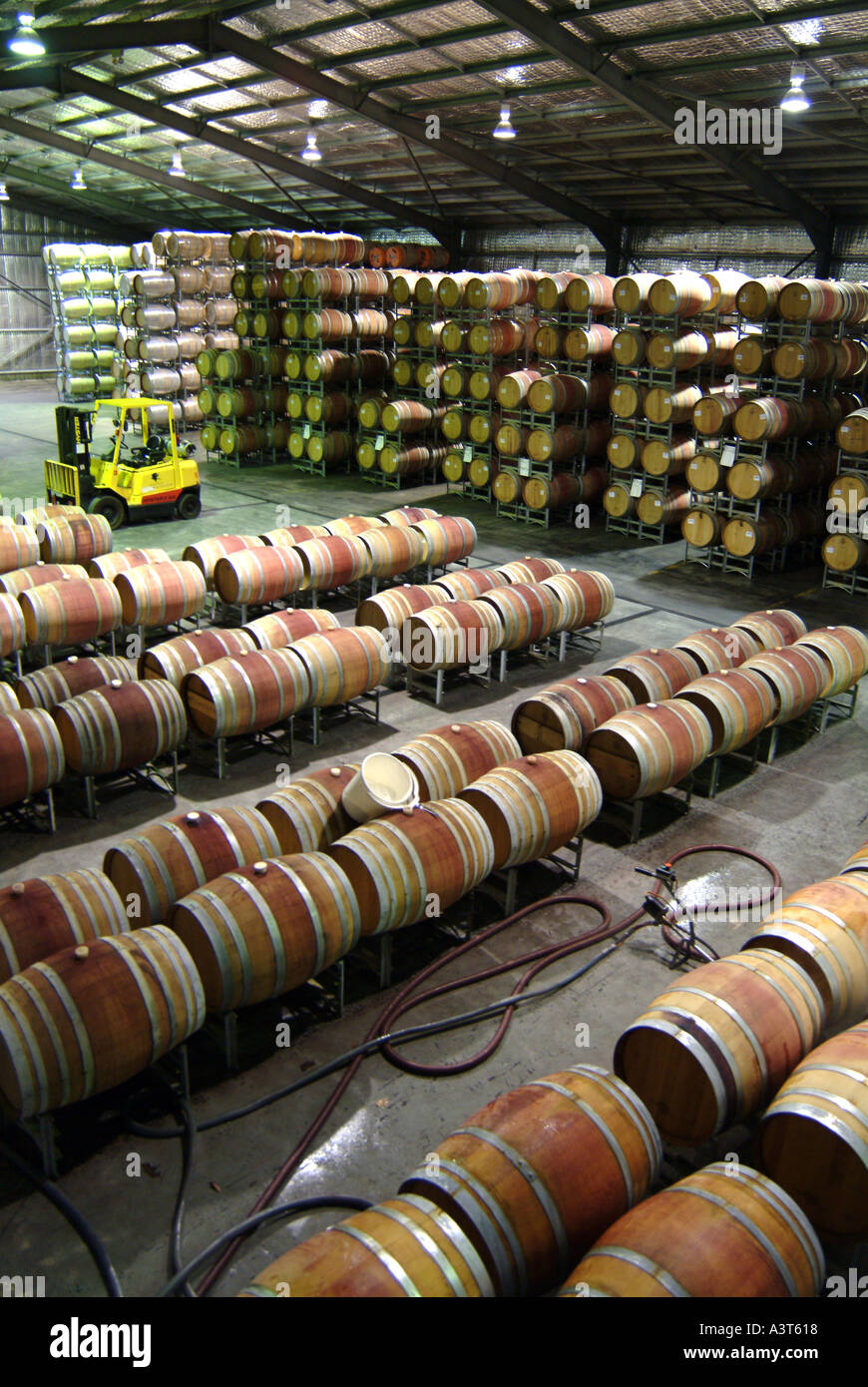 Australia Margaret River Vasse Felix barrel hall Stock Photo Alamy