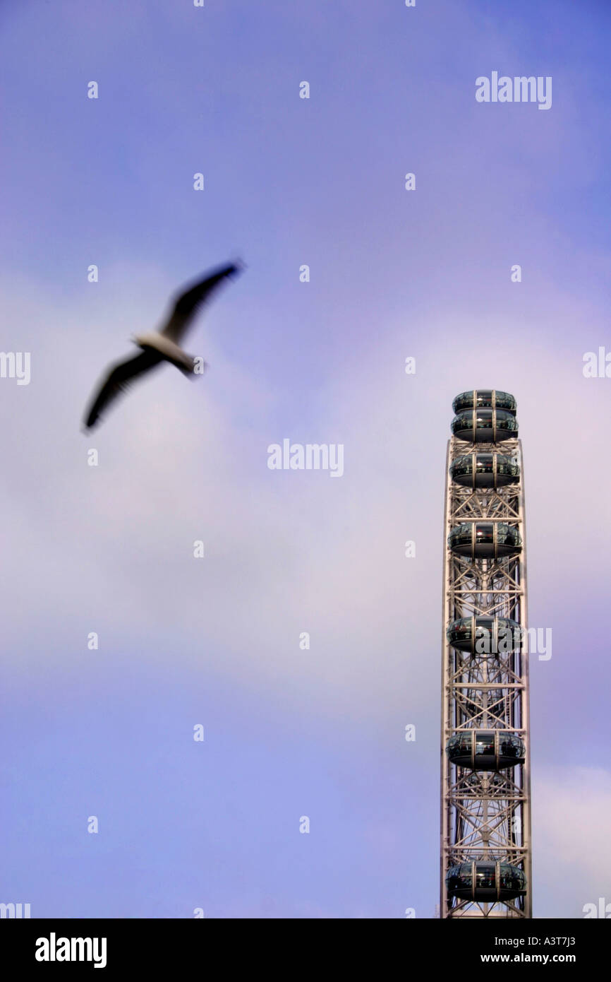 London Flying Activity British Airways London Eye attraction Central London United Kingdom ...