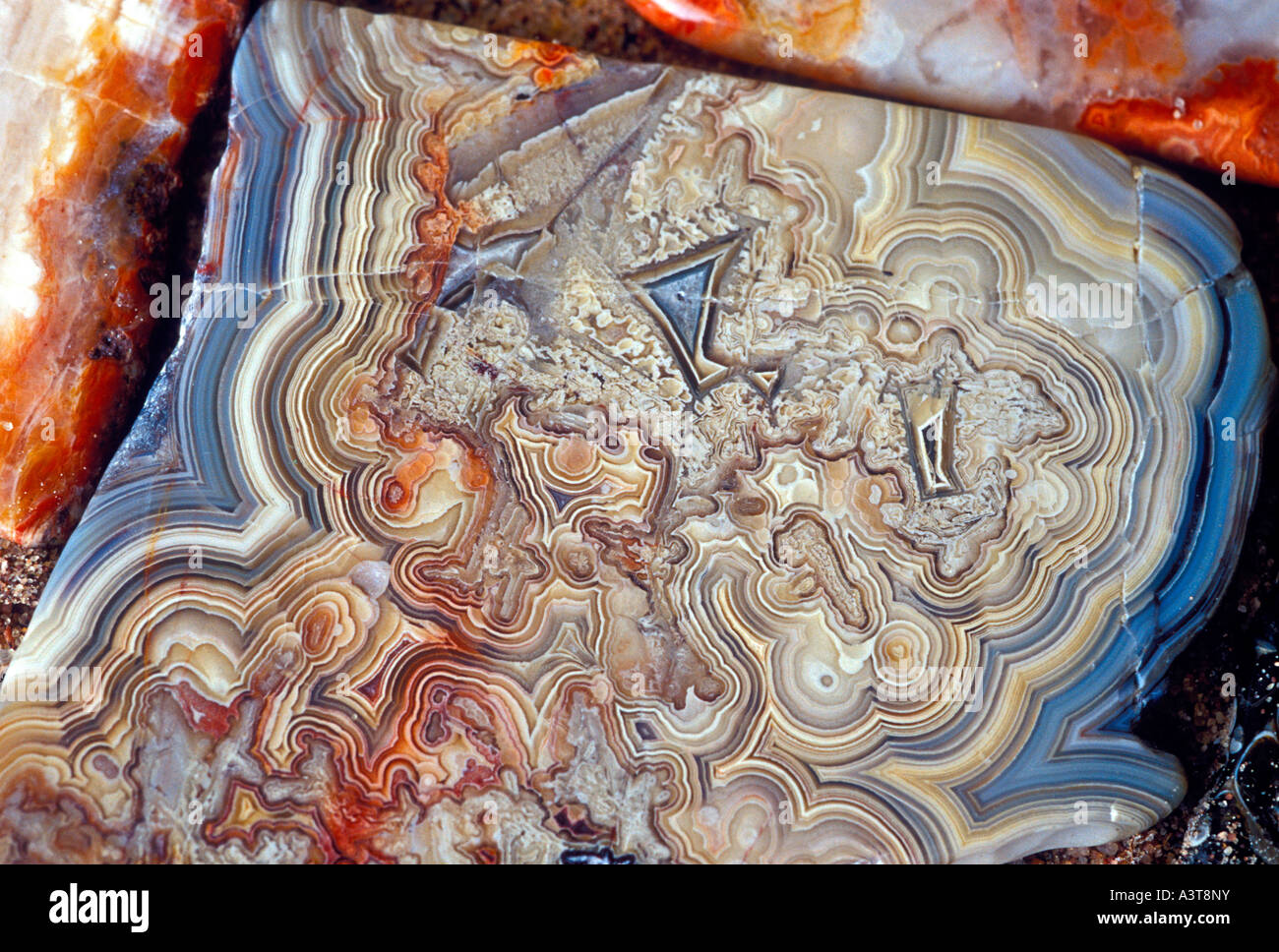 Cut and polished Lake Superior agates from near Marquette Mich Stock