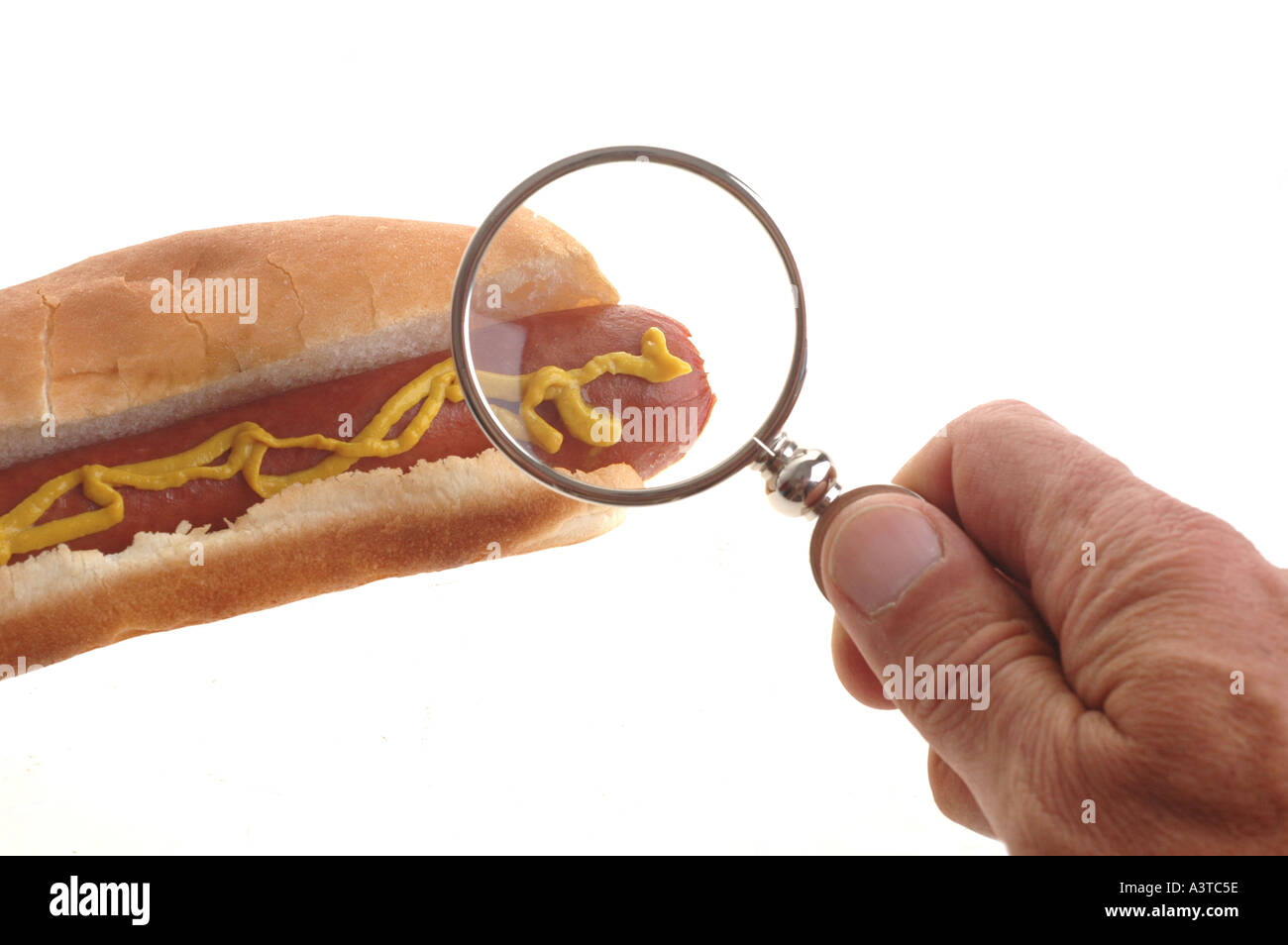 Hot dog with magnifying glass looking for food bacteria illness Stock