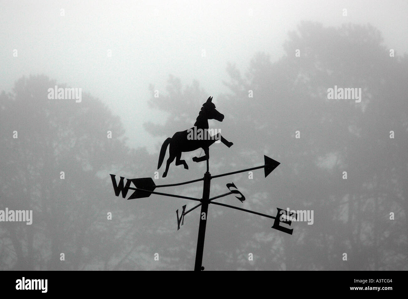 Horse weather vane hi-res stock photography and images - Alamy