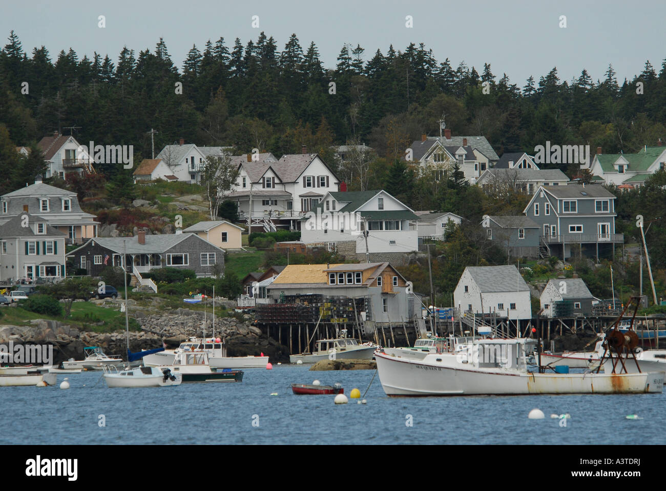 Castine town home of the Maine Marine Academy Stock Photo Alamy