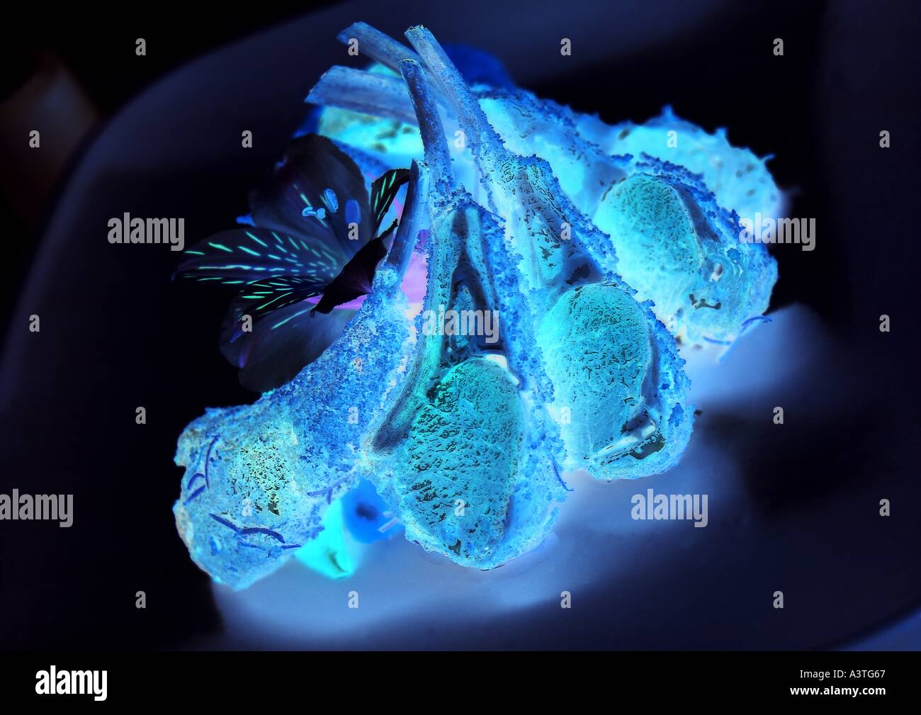 Bon bon ribs hi-res stock photography and images - Alamy