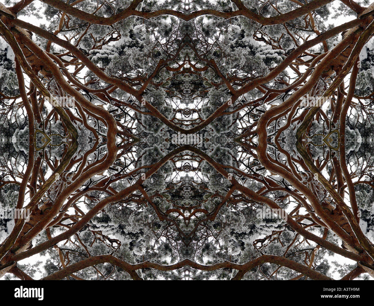 Quartrafore Pattern Quadrate pattern hi-res stock photography and images - Alamy