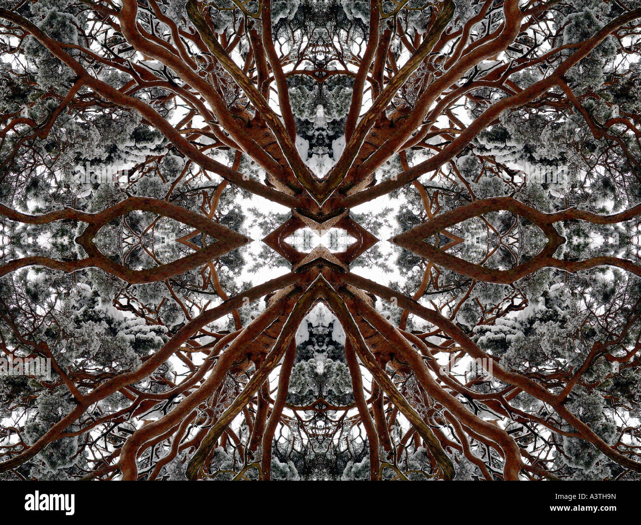 Quartrafore Pattern Quadrate pattern hi-res stock photography and images - Alamy