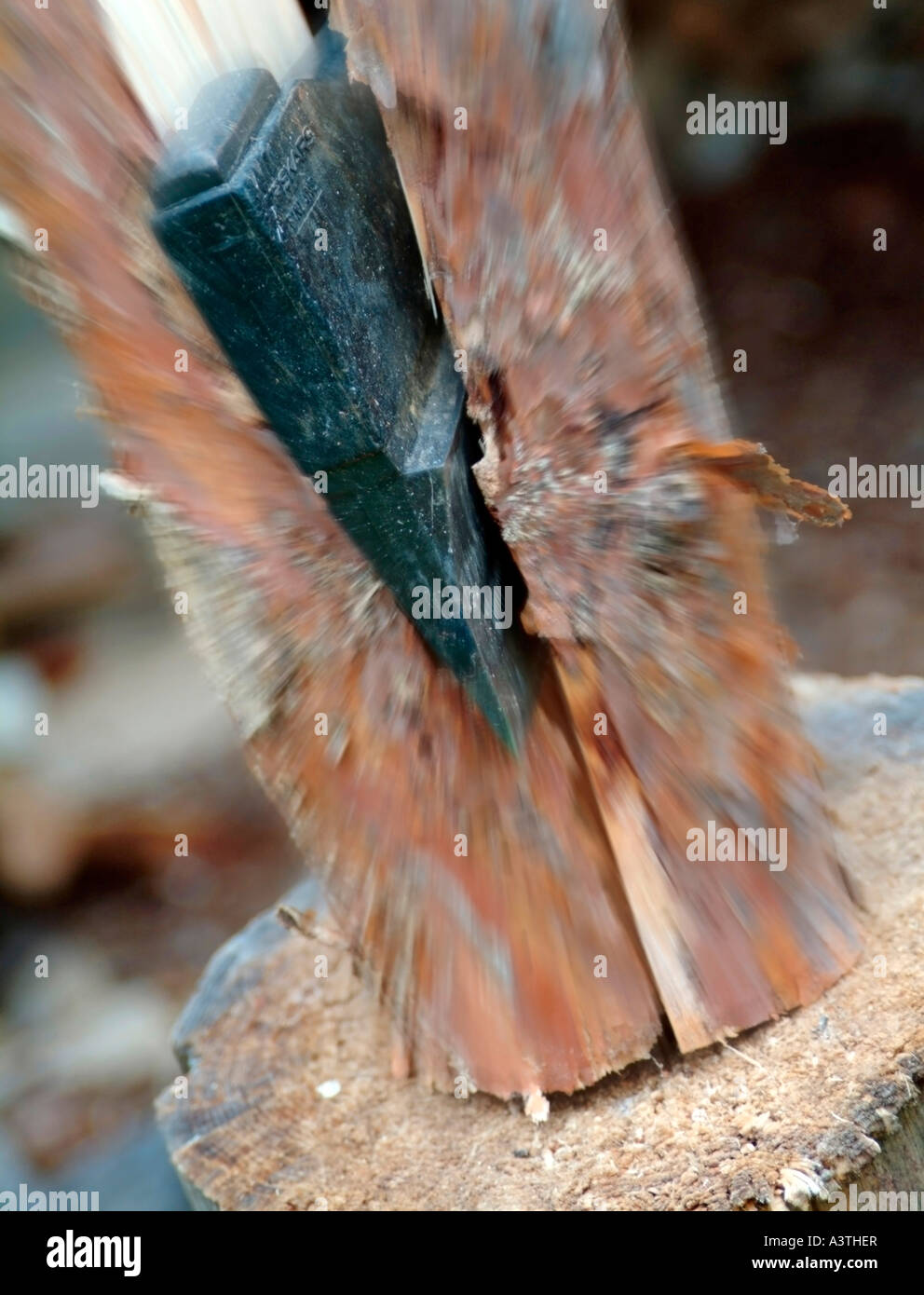 Axe splitting wood Stock Photo Alamy