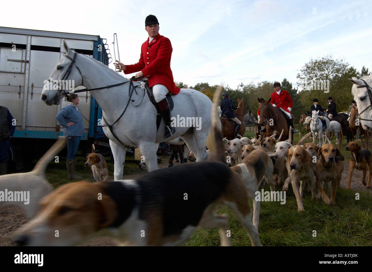 Fox hunting riders and pack of hounds Stock Photo Alamy