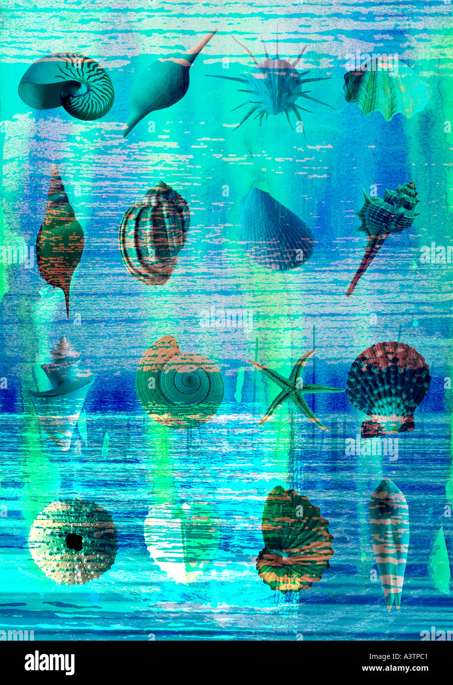 Representation of water plants hi-res stock photography and images - Alamy