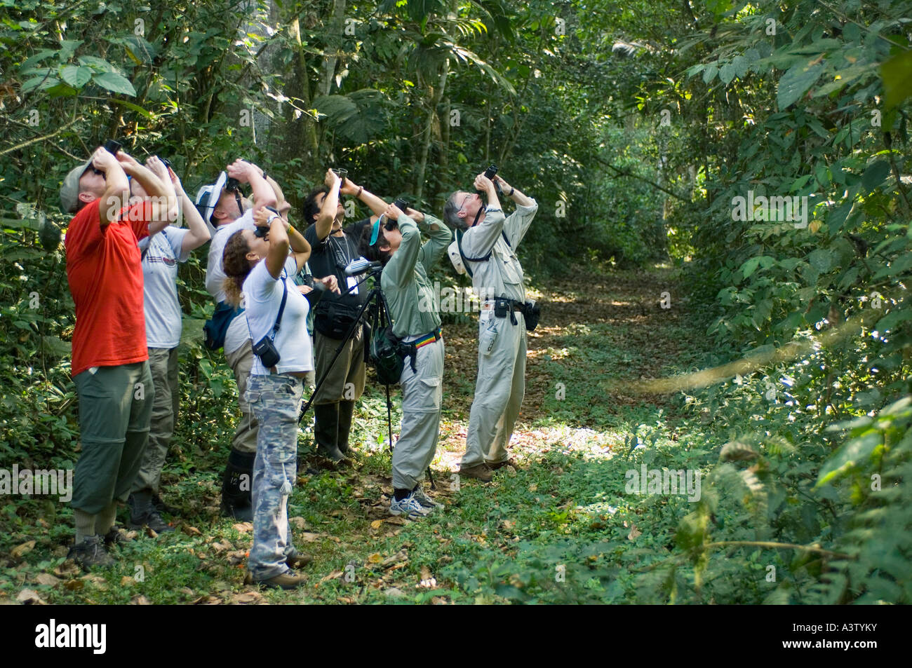 Panama, Darien National Park, Birdwatchers in jungle around Cana Stock Photo
