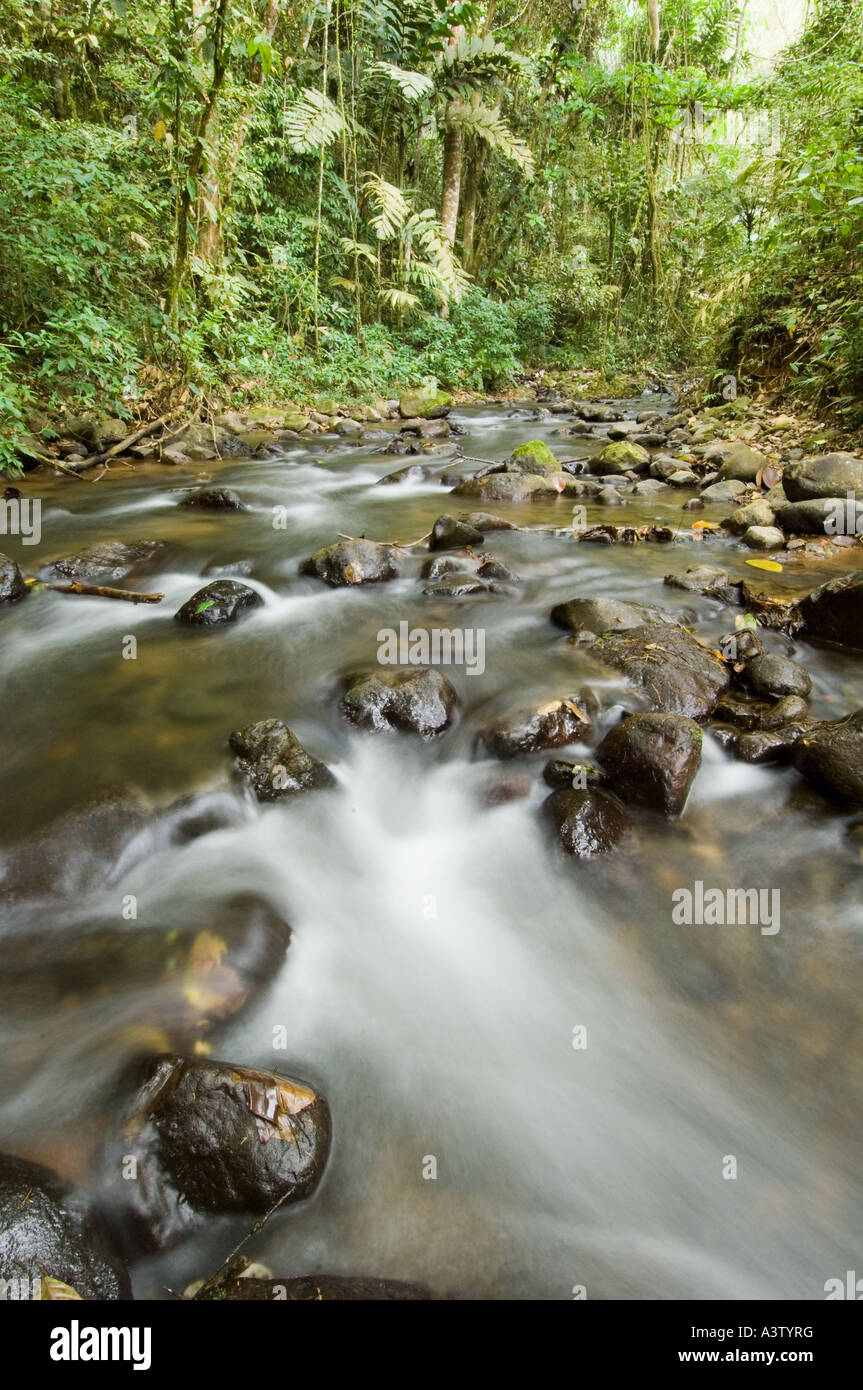 Panama, Darien National Park, Cana area, small stream and rocks in