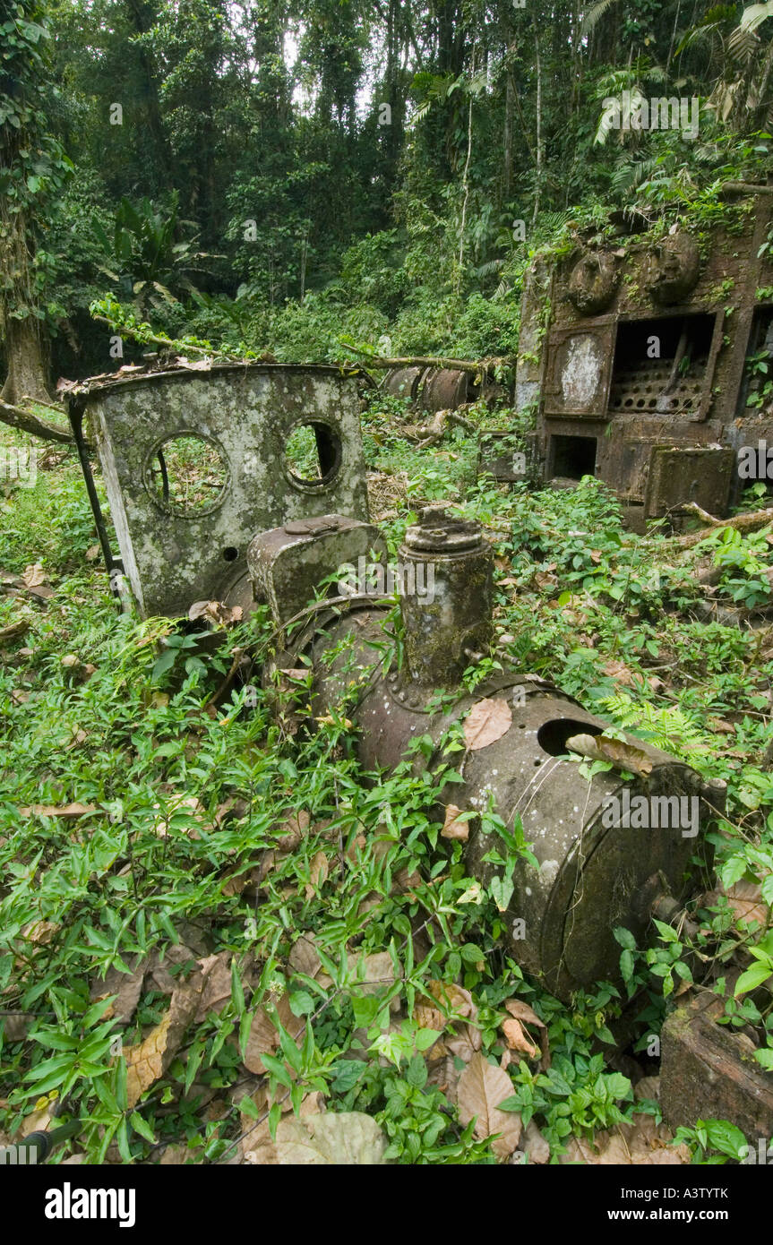 Panama, Darien National Park, Cana area, ruins of Espiritu Santo (Holy