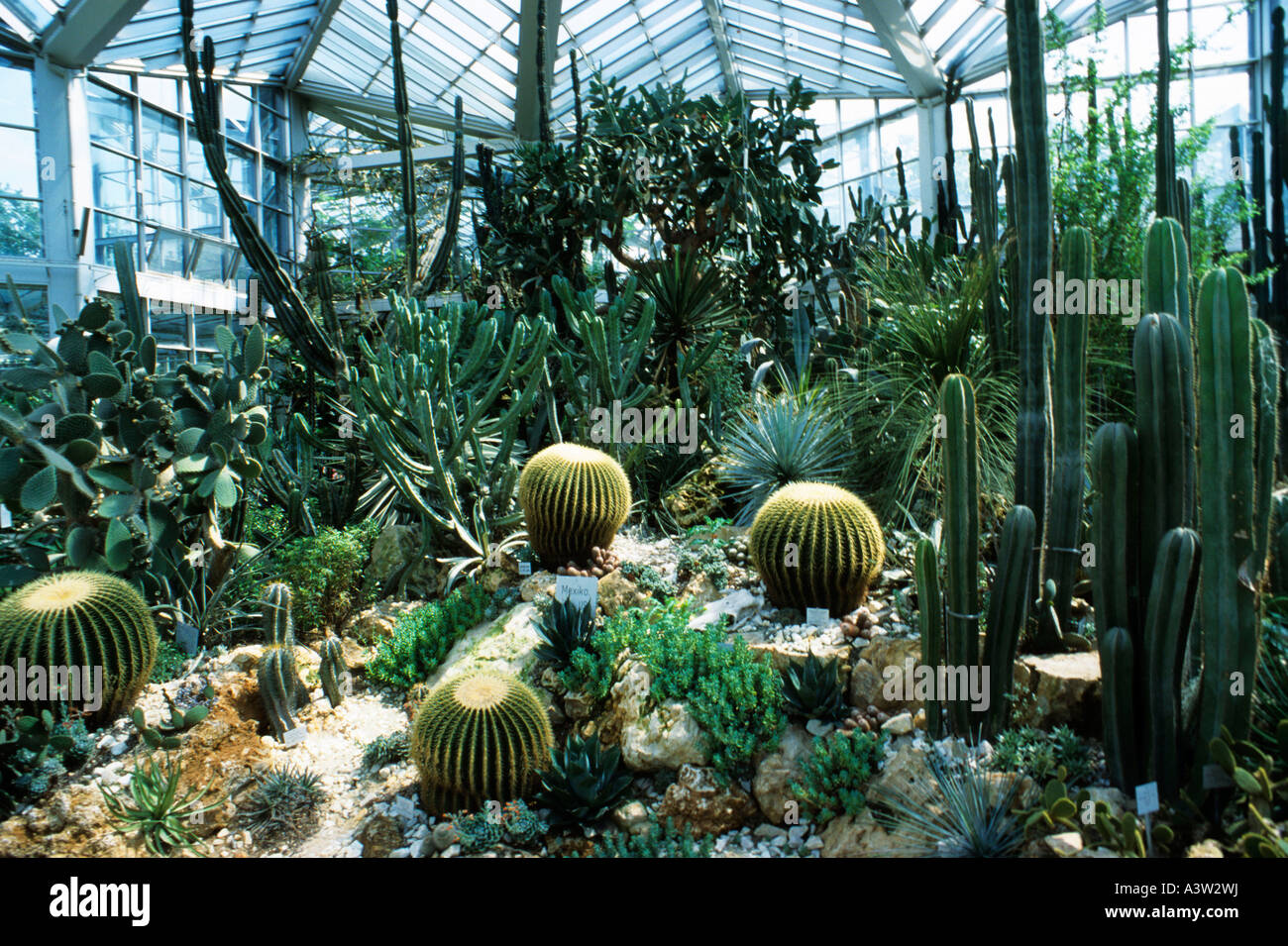 Palmengarten Frankfurt Am Main Stock Photo 10860941 Alamy