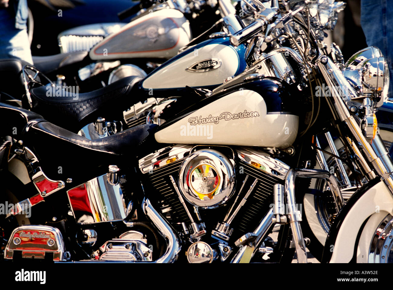 Three parked Harley Davidson motorcycles on Rush Street, Chicago