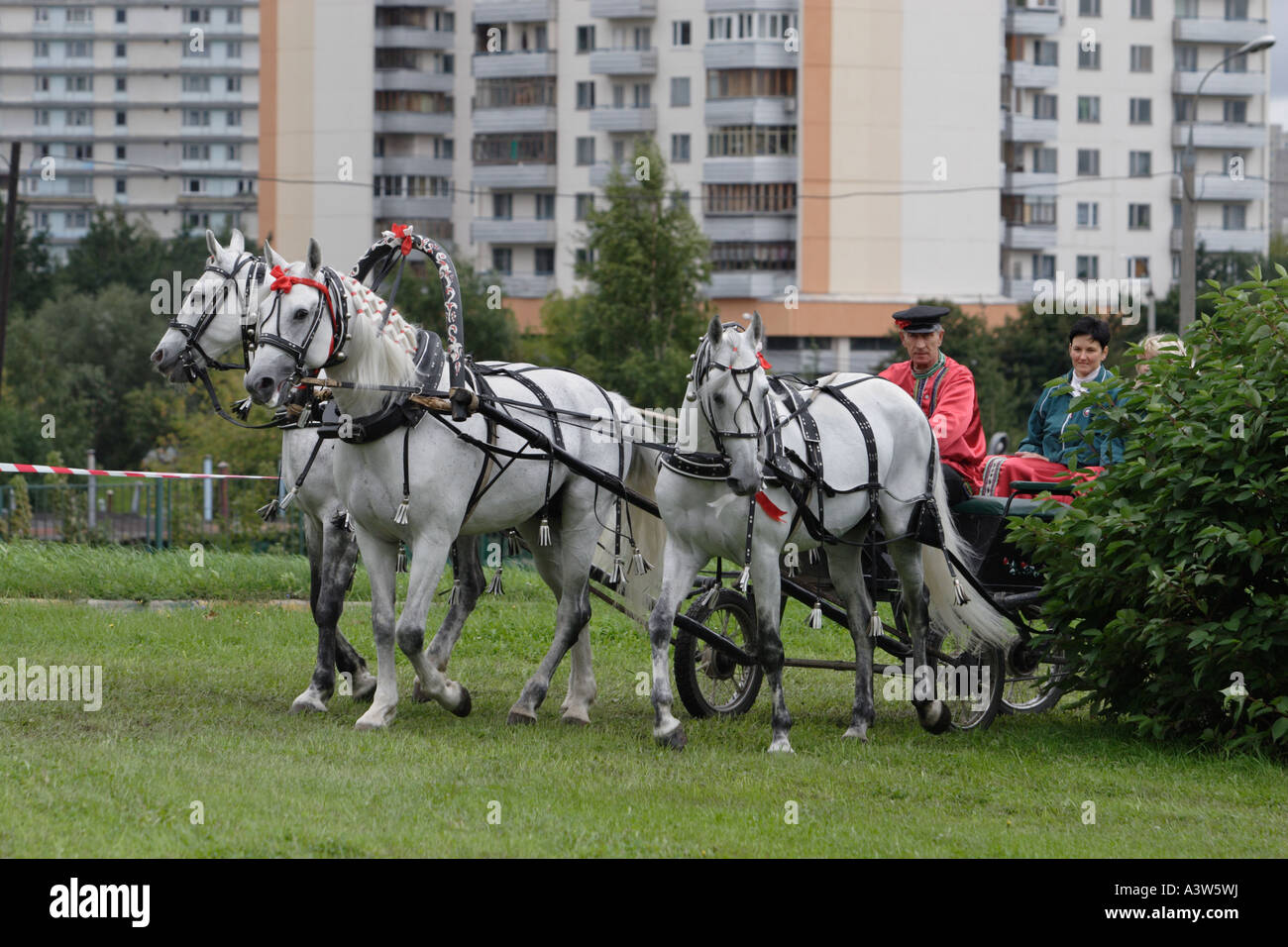 Russian troika in town Stock Photo - Alamy