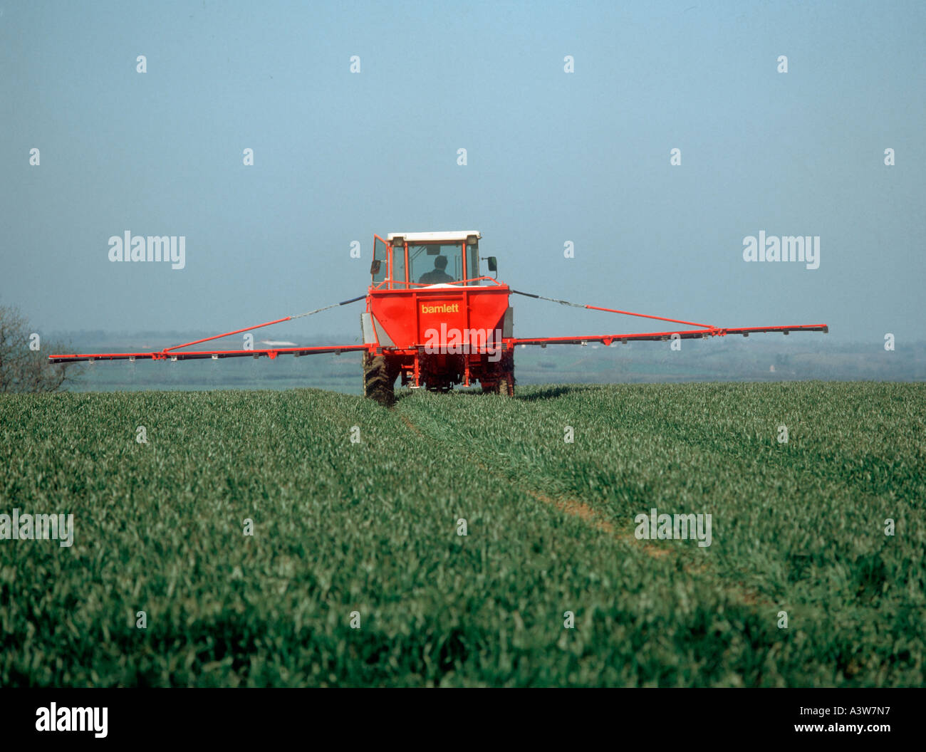 Bamlett mounted boom spreader spreading fertilizer granules on good wheat crop Stock Photo