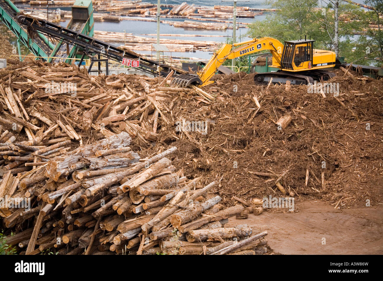 Logs and bark waste at dryland sort Vancouver island Canada Stock Photo